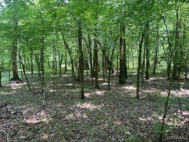 5000 County Road 55th Rd, Camp Hill, AL 36850