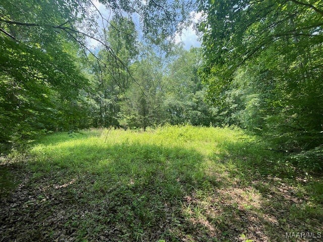 5000 County Road 55th Rd, Camp Hill, AL 36850