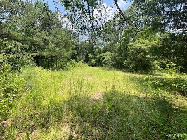 5000 County Road 55th Rd, Camp Hill, AL 36850