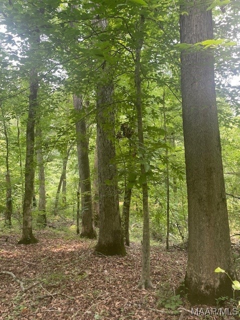 5000 County Road 55th Rd, Camp Hill, AL 36850