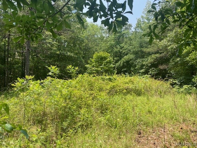 5000 County Road 55th Rd, Camp Hill, AL 36850