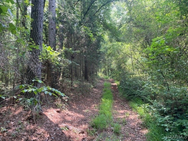 5000 County Road 55th Rd, Camp Hill, AL 36850