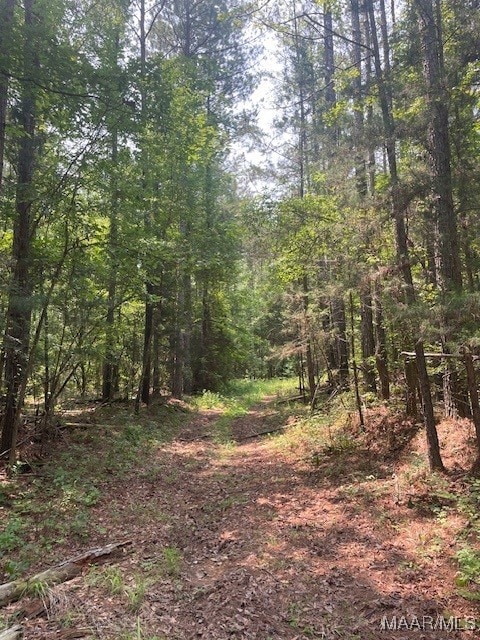 5000 County Road 55th Rd, Camp Hill, AL 36850