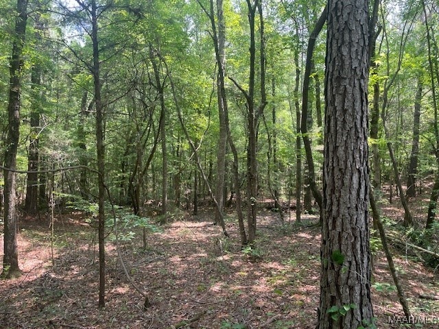 5000 County Road 55th Rd, Camp Hill, AL 36850