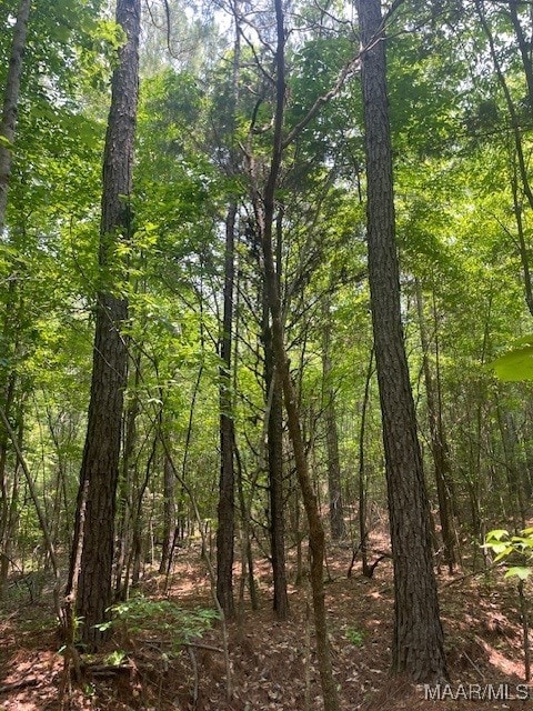 5000 County Road 55th Rd, Camp Hill, AL 36850