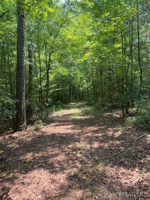 5000 County Road 55th Rd, Camp Hill, AL 36850