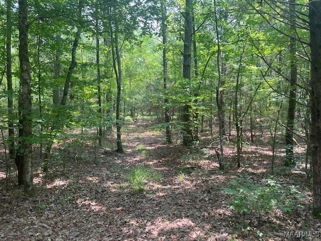 5000 County Road 55th Rd, Camp Hill, AL 36850