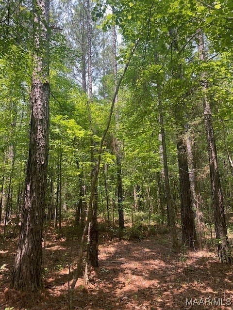 5000 County Road 55th Rd, Camp Hill, AL 36850