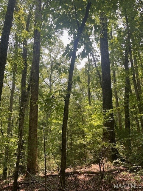 5000 County Road 55th Rd, Camp Hill, AL 36850