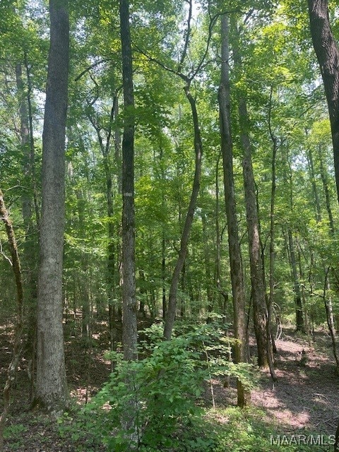 5000 County Road 55th Rd, Camp Hill, AL 36850