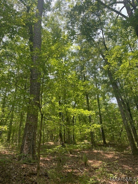 5000 County Road 55th Rd, Camp Hill, AL 36850