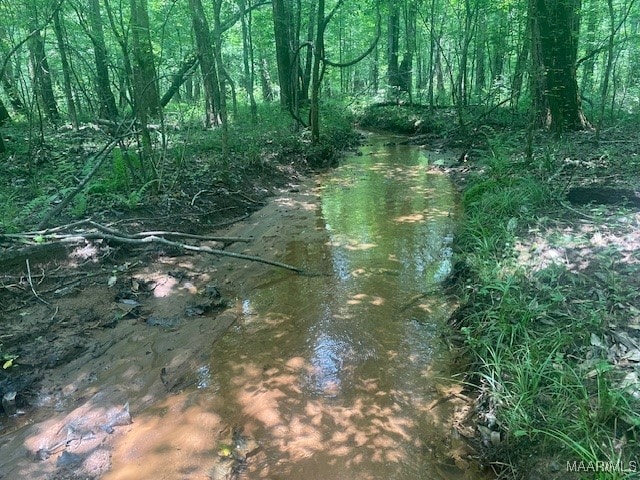 5000 County Road 55th Rd, Camp Hill, AL 36850