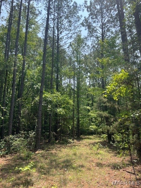 5000 County Road 55th Rd, Camp Hill, AL 36850