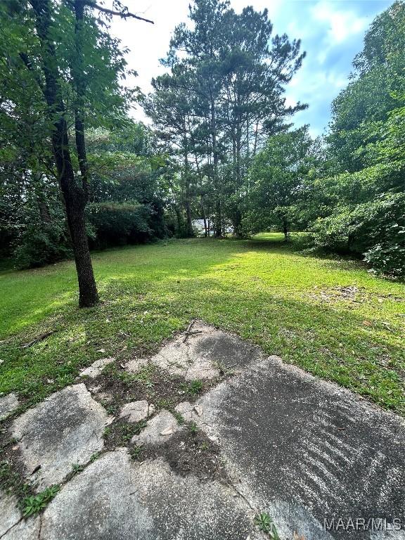 345 Byrd St, Auburn, AL 36832 - view of grassy yard