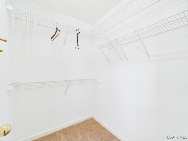 508 Mossy Oak Rdg, Prattville, AL 36066 - walk in closet featuring light colored carpet