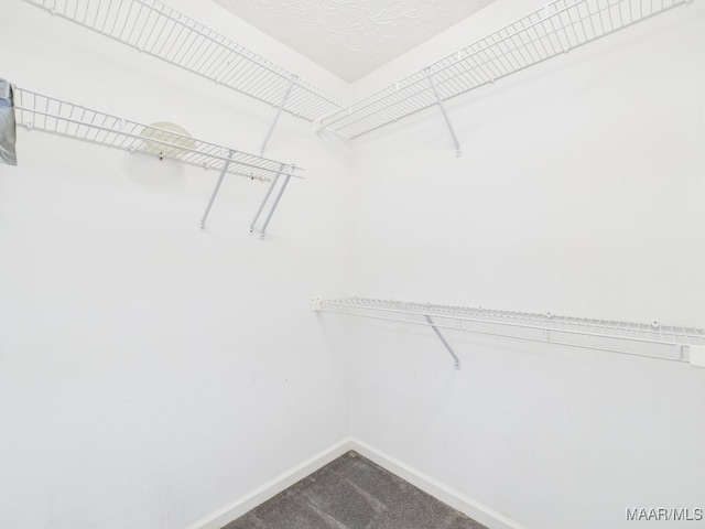 508 Mossy Oak Rdg, Prattville, AL 36066 - spacious closet with dark colored carpet