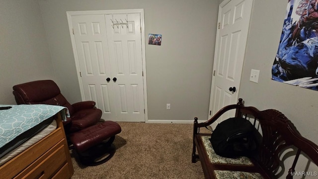 1345 Firetower Rd, Wetumpka, AL 36092 - bedroom featuring carpet floors and a closet