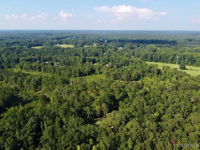 2011 Central Plank Rd, Wetumpka, AL 36092 - photo 9