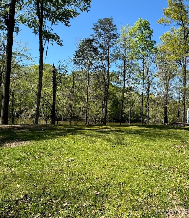 1651 Tawassee Pointe Dr, Lowndesboro, AL 36752 - view of grassy yard featuring a forest view