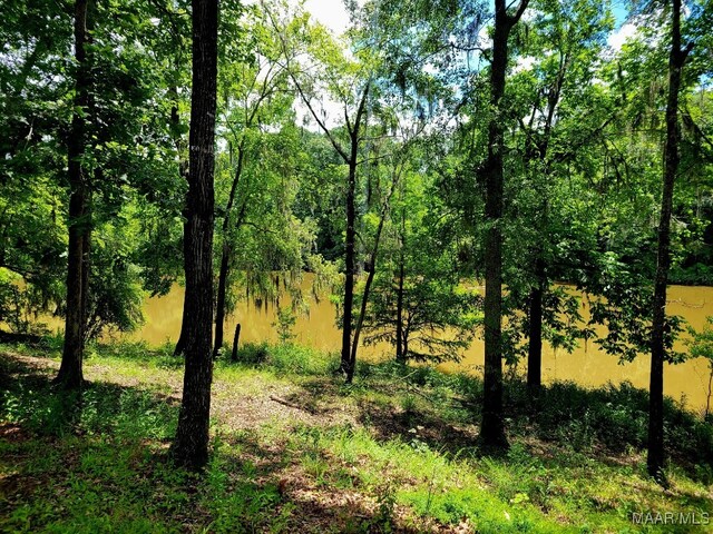 1651 Tawassee Pointe Dr, Lowndesboro, AL 36752 - view of nature