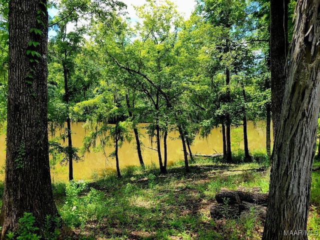 1651 Tawassee Pointe Dr, Lowndesboro, AL 36752 - view of local wilderness