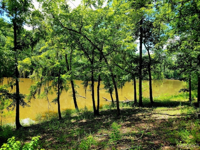 1651 Tawassee Pointe Dr, Lowndesboro, AL 36752 - view of nature