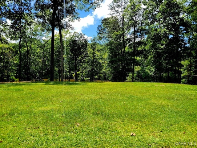 1651 Tawassee Pointe Dr, Lowndesboro, AL 36752 - view of grassy yard