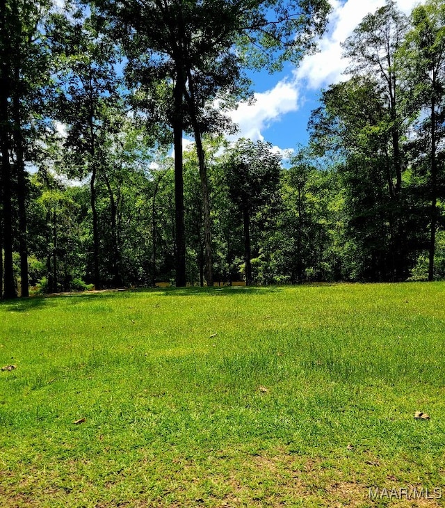 1651 Tawassee Pointe Dr, Lowndesboro, AL 36752 - view of yard