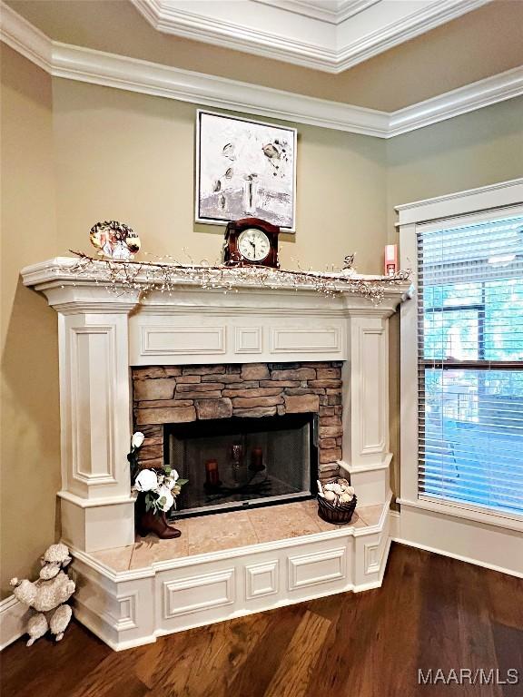 309 Southern Hills Dr, Wetumpka, AL 36093 - detailed view of wood finished floors, a stone fireplace, crown molding, and a tray ceiling