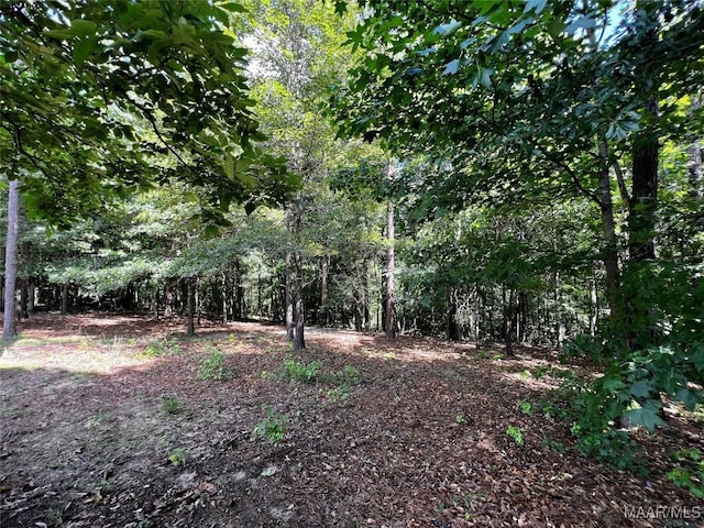 309 Southern Hills Dr, Wetumpka, AL 36093 - view of wooded area