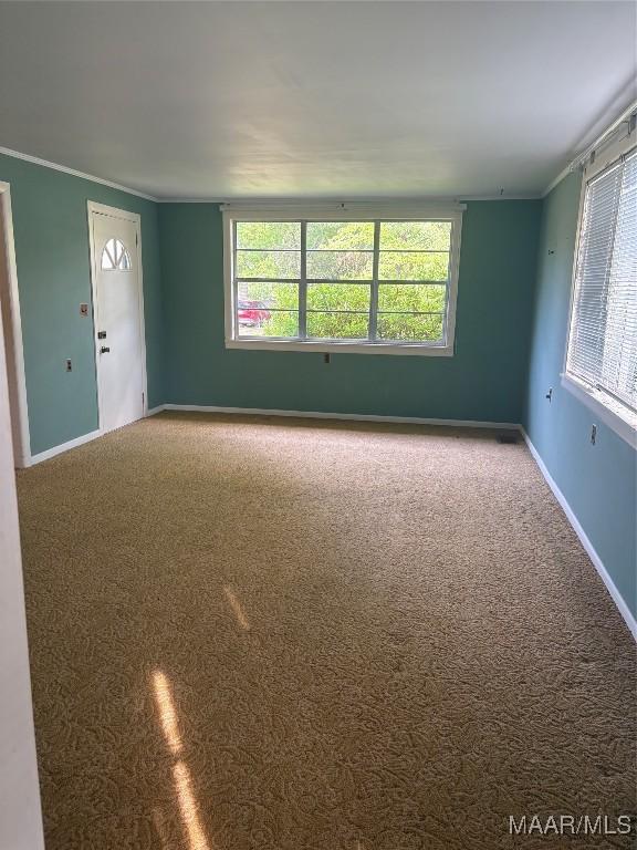 407 Powers Ave, Tallassee, AL 36078 - unfurnished room with ornamental molding and carpet flooring