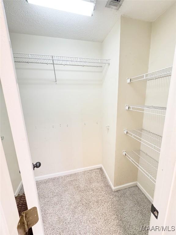 1312 Centerfield Ct, Montgomery, AL 36117 - walk in closet with carpet