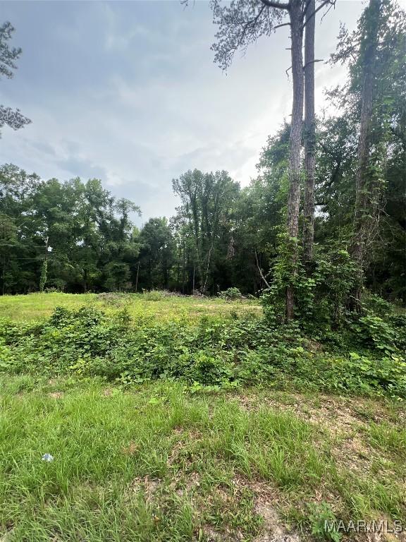403 Durden Rd, Prattville, AL 36067 - photo 1