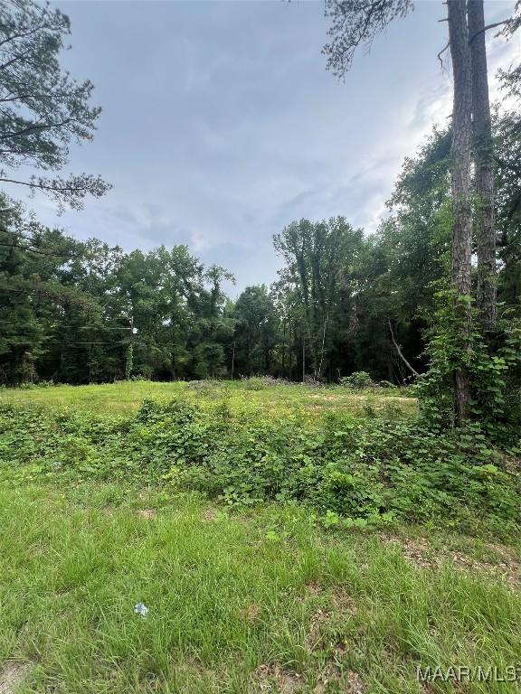 403 Durden Rd, Prattville, AL 36067 - photo 2