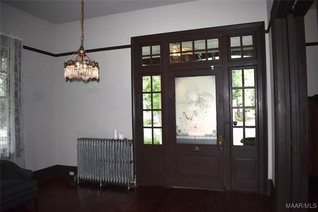 2207 Winona Ave, Montgomery, AL 36107 - entryway featuring dark wood-style flooring, radiator, a chandelier, and plenty of natural light