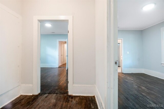 2430 Plum St, Montgomery, AL 36107 - photo 10