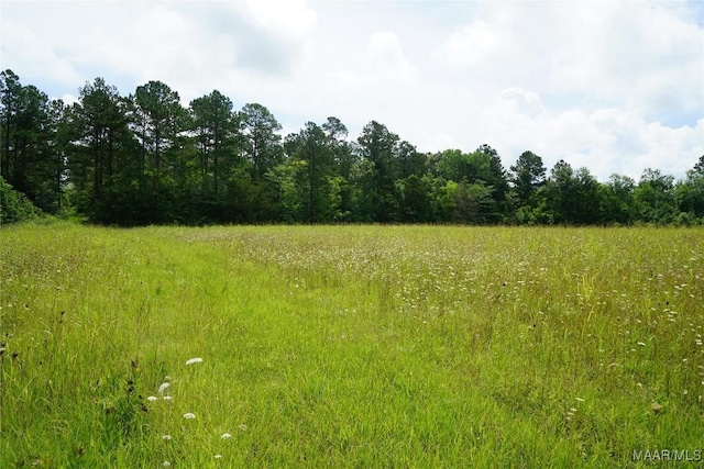 640 Barnes Rd, Montgomery, AL 36064 - photo 2