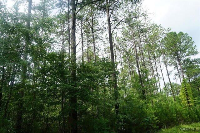 640 Barnes Rd, Montgomery, AL 36064 - photo 3