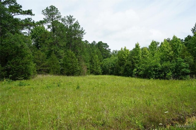 640 Barnes Rd, Montgomery, AL 36064 - photo 5