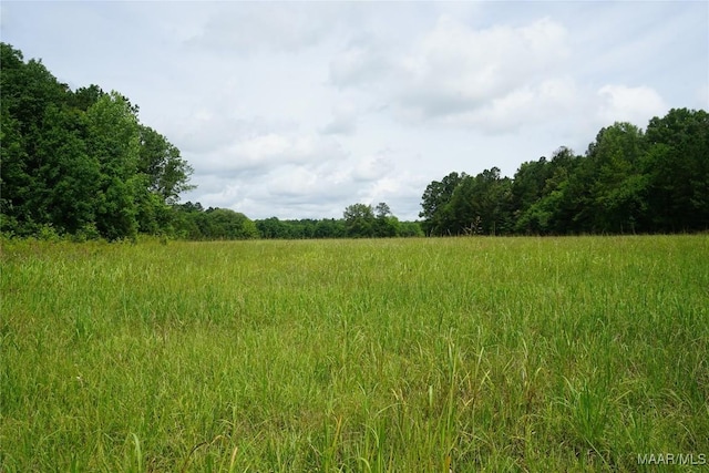 640 Barnes Rd, Montgomery, AL 36064 - photo 6