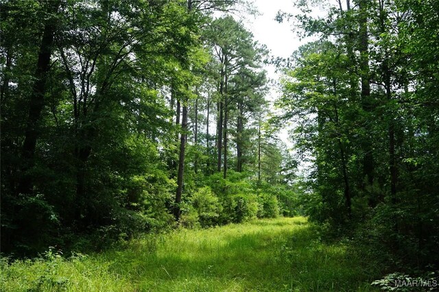 640 Barnes Rd, Montgomery, AL 36064 - photo 7