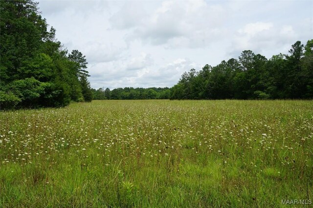 640 Barnes Rd, Montgomery, AL 36064 - photo 8