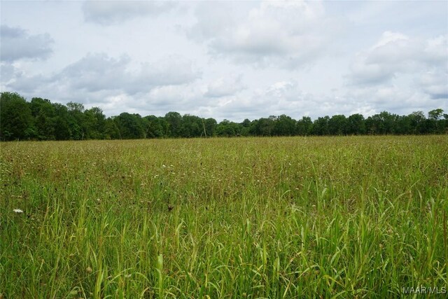 640 Barnes Rd, Montgomery, AL 36064 - photo 9