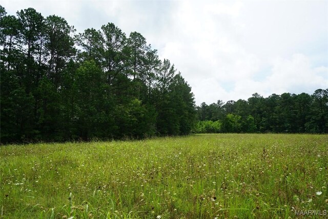 640 Barnes Rd, Montgomery, AL 36064 - photo 10