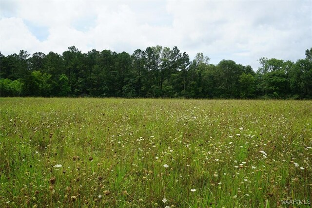 640 Barnes Rd, Montgomery, AL 36064 - photo 11