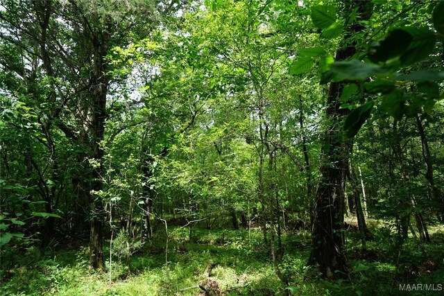 640 Barnes Rd, Montgomery, AL 36064 - photo 16