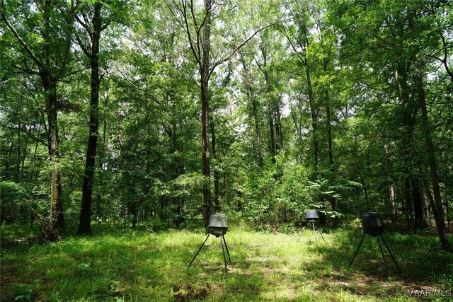 640 Barnes Rd, Montgomery, AL 36064 - photo 18