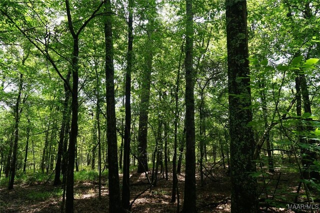 640 Barnes Rd, Montgomery, AL 36064 - photo 20