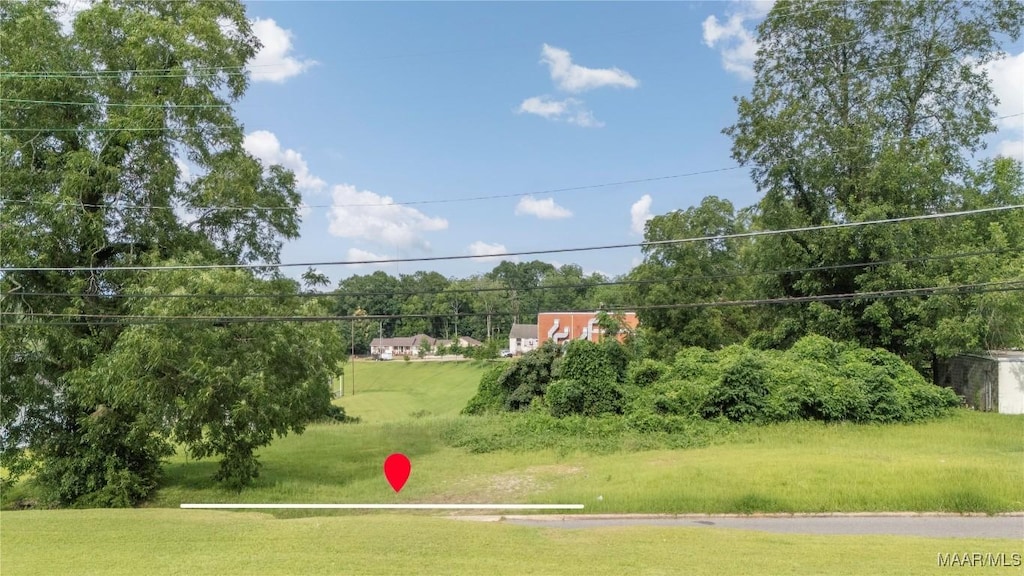 0 Martin Luther King Dr, Troy, AL 36081 - photo 2