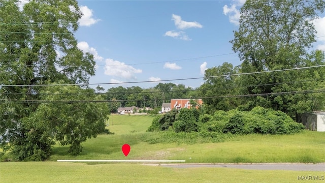 0 Martin Luther King Dr, Troy, AL 36081 - photo 2